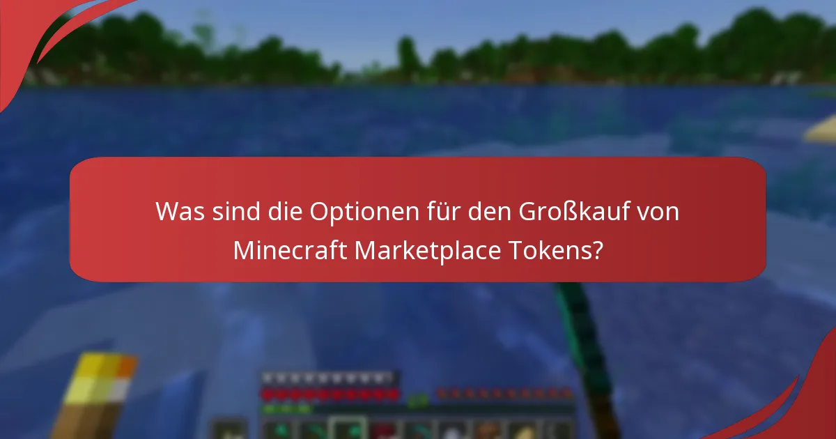 Was sind die Optionen für den Großkauf von Minecraft Marketplace Tokens?
